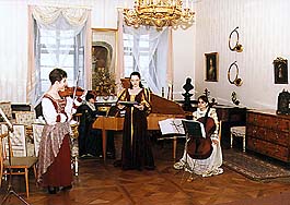 Festival der Kammermusik - Musik in Verwandlungen der Zeit, Musikführungen im Schloss Český Krumlov 