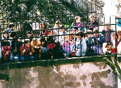 Kinder als Zuschauer bei der Geburtstagsfeier der Bärenjungen auf dem Schloss Český Krumlov 