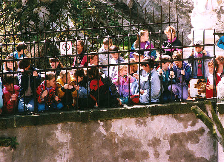Kinder als Zuschauer bei der Geburtstagsfeier der Bärenjungen auf dem Schloss Český Krumlov