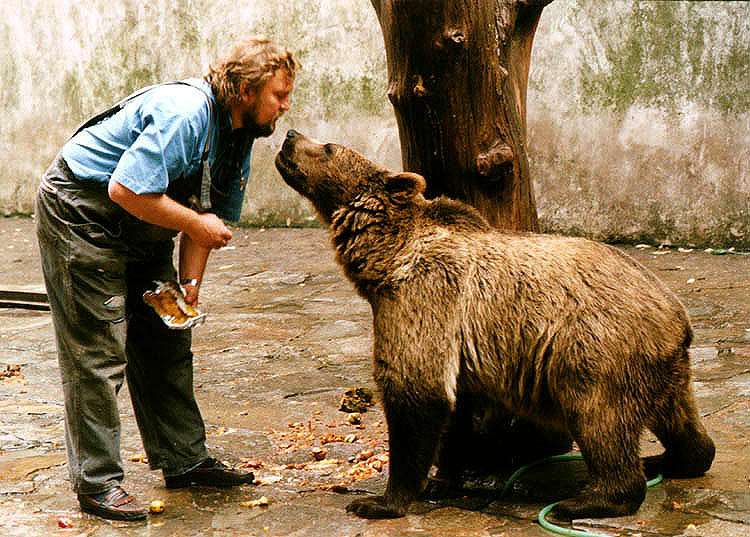 Bearkeeper Jan Černý with Mama bear Káťa in bear moat at Český Krumlov Castle