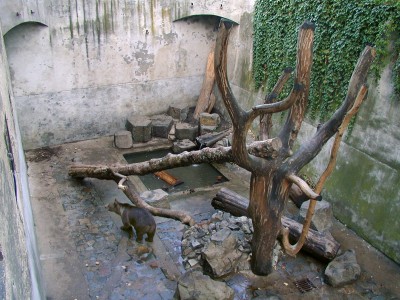 Blick in das erste Bärengehege des Schlossbärengrabens von der mittleren Brücke (Stand nach der Rekonstruktion, die in den Jahren 1995-99 erfolgte), Foto: Pavel Slavko 