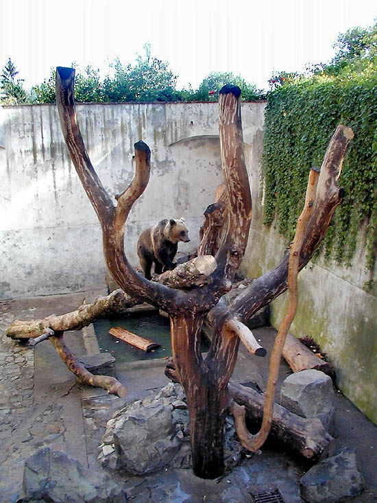 Zámek Český Krumlov, medvědí příkop po obnově v srpnu 1999, foto: Pavel Slavko