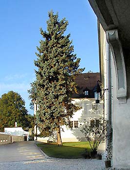 Zámek Český Krumlov, V. nádvoří, foto: Zdena Flašková 