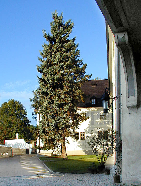 Schloss Český Krumlov, V. Schlosshof, Foto: Zdena Flašková
