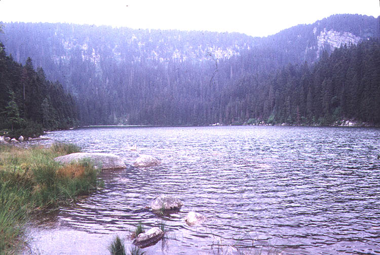 6125b Plešné jezero II.