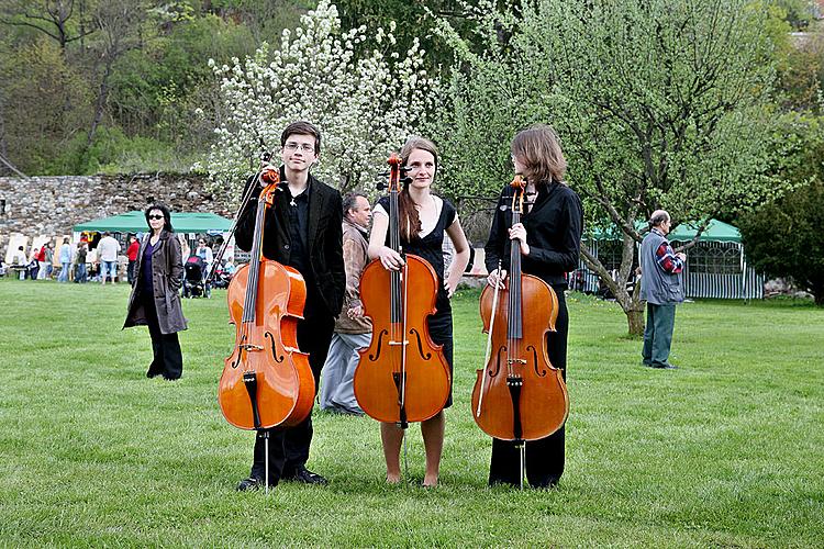 Festival ZUŠ